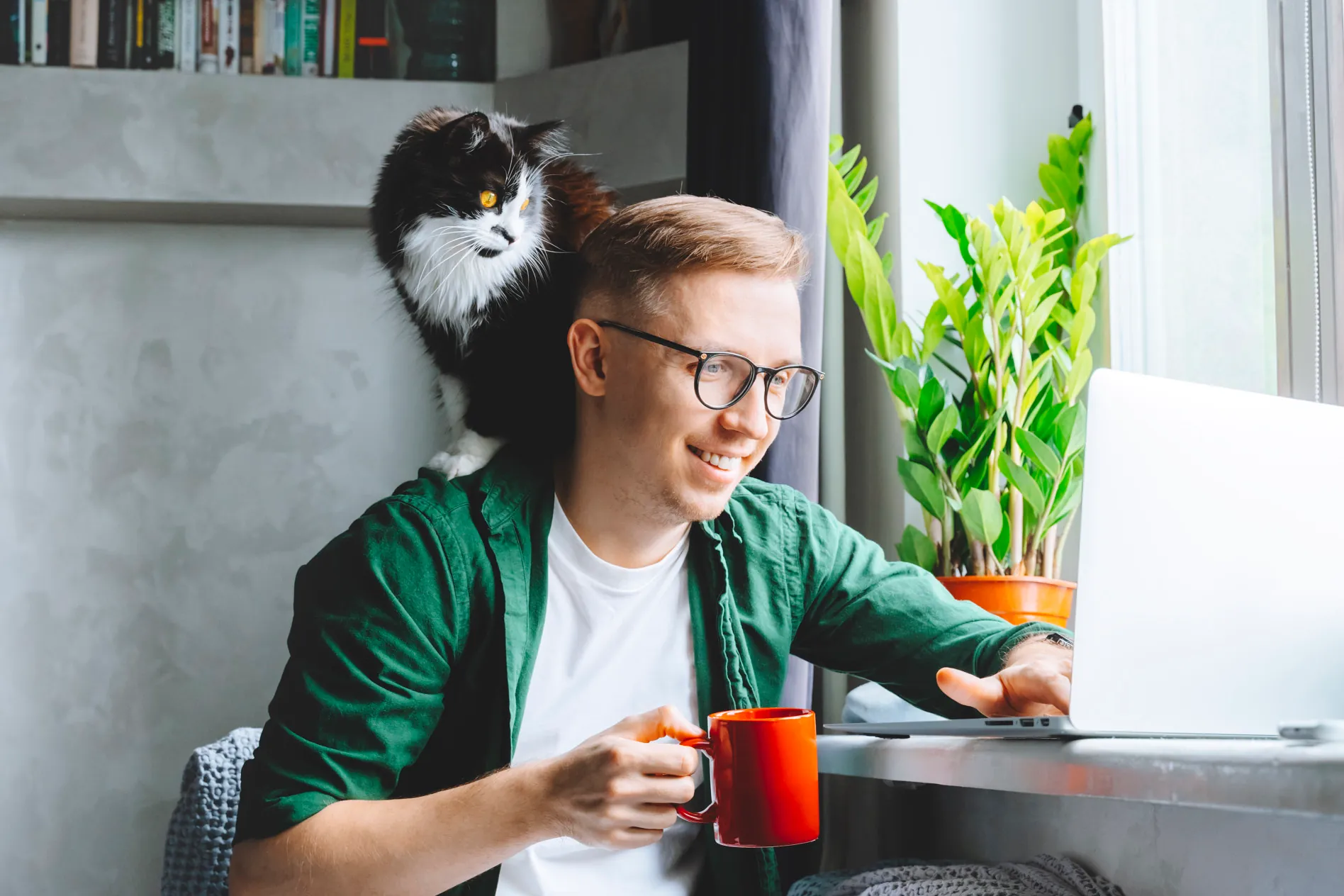 A man uses a laptop with a cat perched on his shoulder.