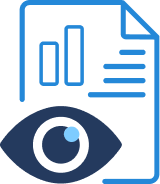 Surveillance icon